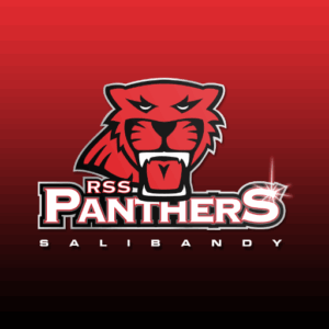 Panthers logo